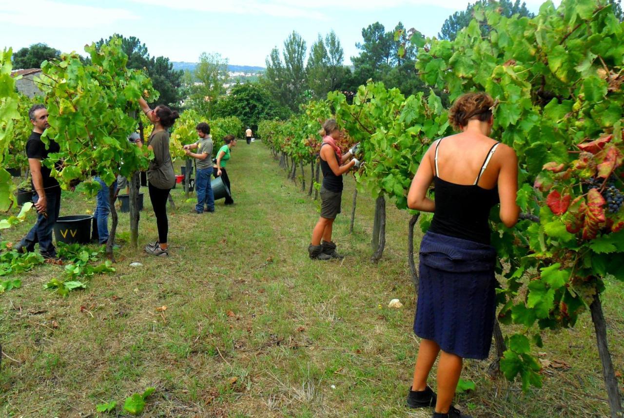 Verde Agua Agroturismo E Agricultura Biologica Couto Экстерьер фото